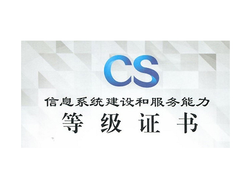 CS 信息系统建设和服务能力评估体系咨询