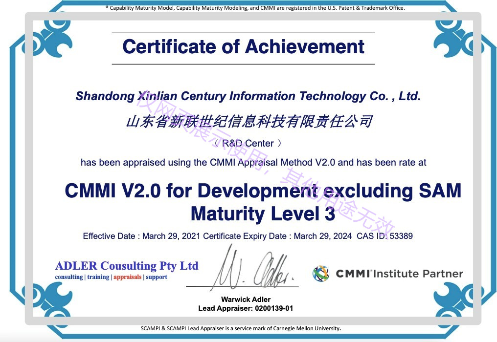 新联世纪CMMI3